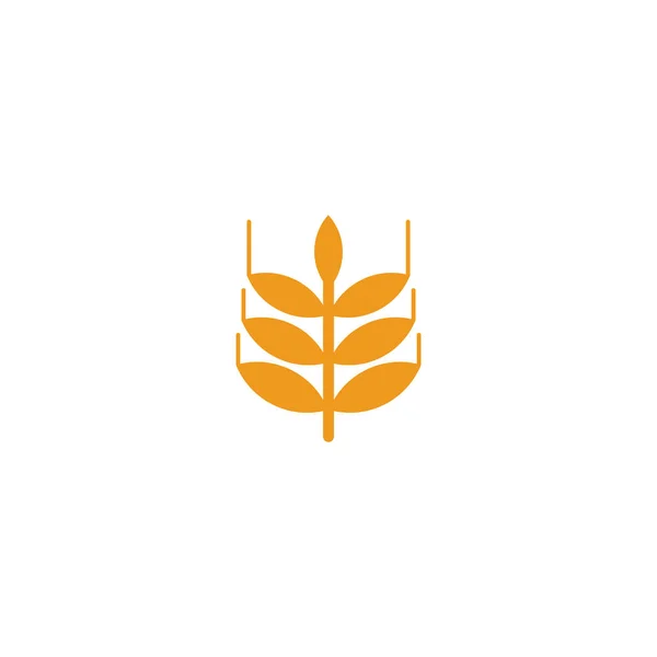 Agriculture wheat leaf icon logo design vector template — Stock Vector