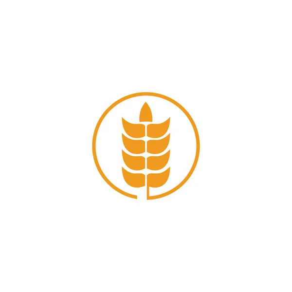 Agriculture wheat leaf icon logo design vector template — Stock Vector