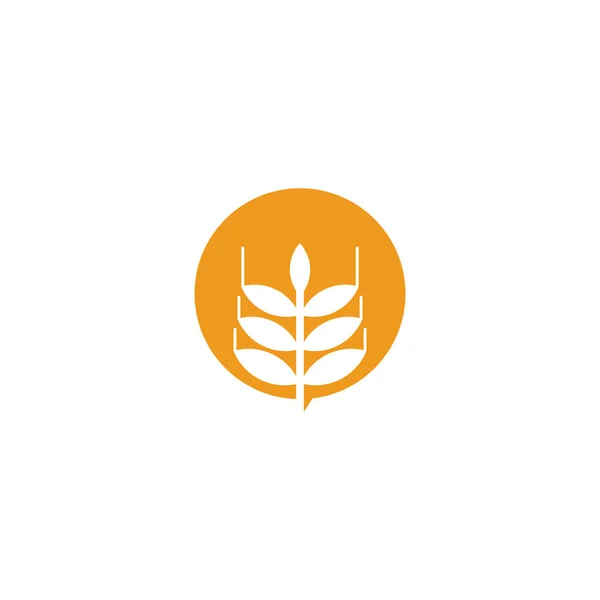Agriculture wheat leaf icon logo design vector template — Stock Vector