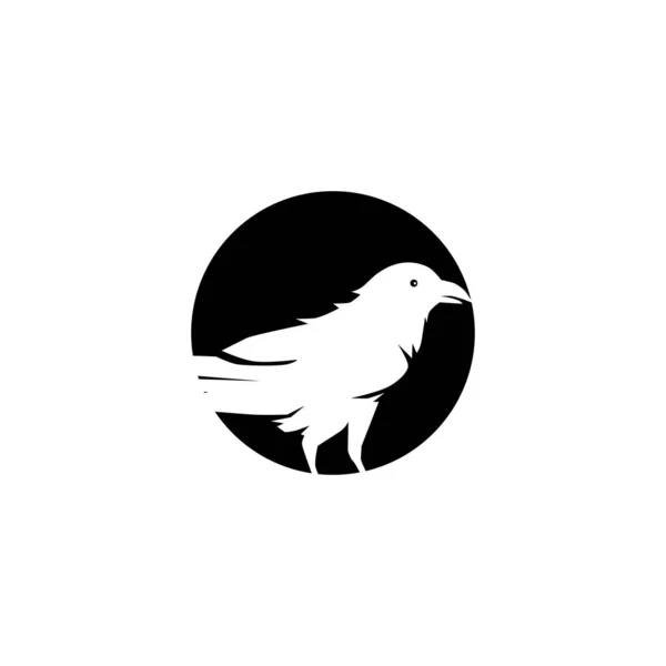 Modelo Vetor Design Logotipo Ícone Pássaro Raven —  Vetores de Stock