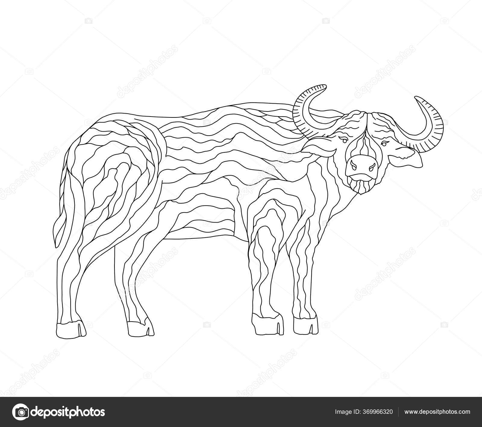 Download Vector Coloring Book Children Adults Buffalo Big Animal Horns Study Vector Image By C Lerarelart Vector Stock 369966320