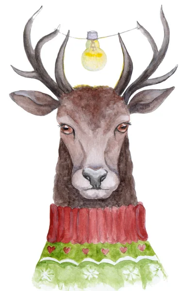 Lampe Whith Cerf Pull Isolé Sur Blanc — Photo