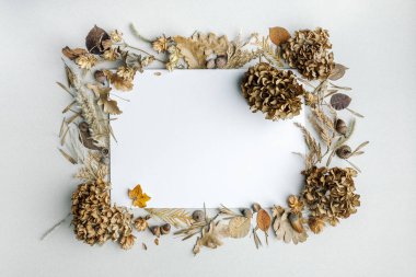 Sonbahar arkaplanı. Sarı turuncu kırmızı sonbahar yaprakları açık arkaplanda. Yukarıdan manzara. Eski tarz. Metin için boşluk.