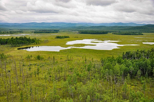 Озеро в заболочених землях навколо вирубаного лісу недалеко від Охотського моря. — стокове фото
