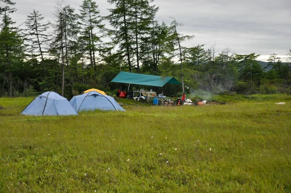 Camping touristique sur un pré verdoyant à la lisière de la forêt . — Photo