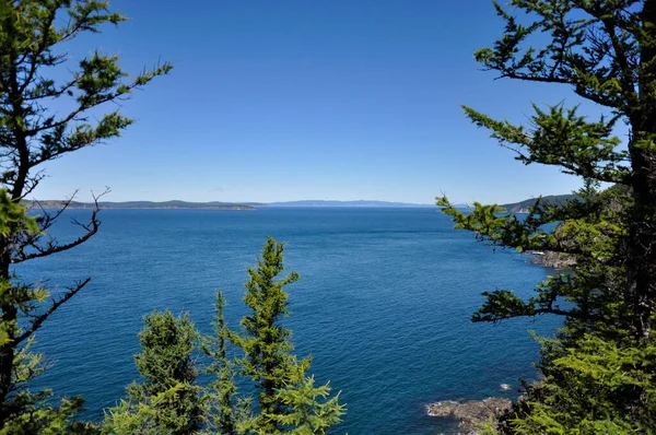 Durch die Bäume sieht man das Meer und die Inseln am Horizont — Stockfoto