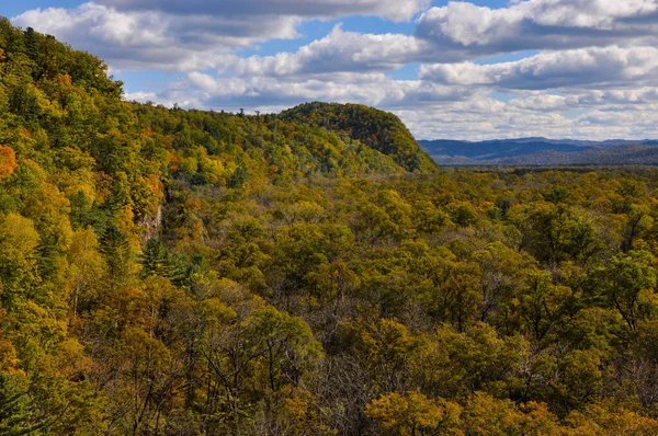 Podzimní krajina Taiga. Hory pokryté jasně žlutými stromy, modrá obloha s mraky — Stock fotografie