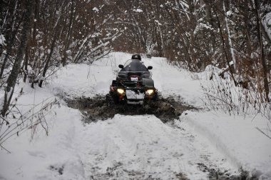 Bir Atv kışın Taiga orman yolunda gidiyor.