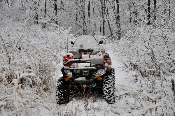 Een Atv op wielen staat op een bosweg tussen besneeuwde struiken — Stockfoto
