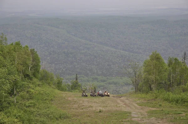 Vários ATVs em uma estrada florestal nas montanhas . — Fotografia de Stock