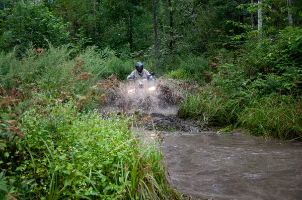 Влітку Квад - Атів пробирається через воду в лісі.. — стокове фото