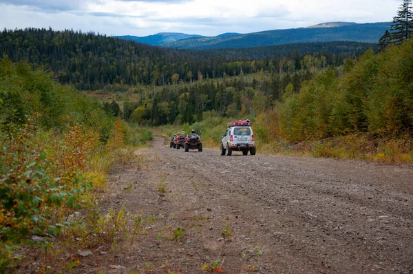 Vários ATVs em uma estrada florestal nas montanhas . — Fotografia de Stock