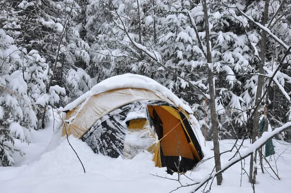 Ein gelbes Zelt mit offenem Eingang ist mit Schnee bedeckt. — Stockfoto