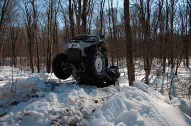 Dörtlü bisiklet kışın kütüğün üzerinden atlar.