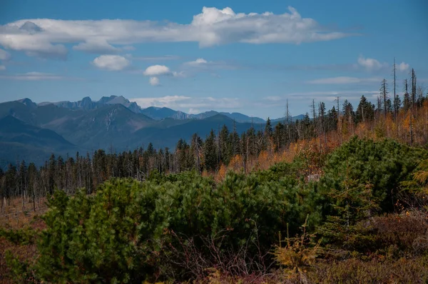 Berglandschappen van de natuur van het Russische Verre Oosten — Stockfoto