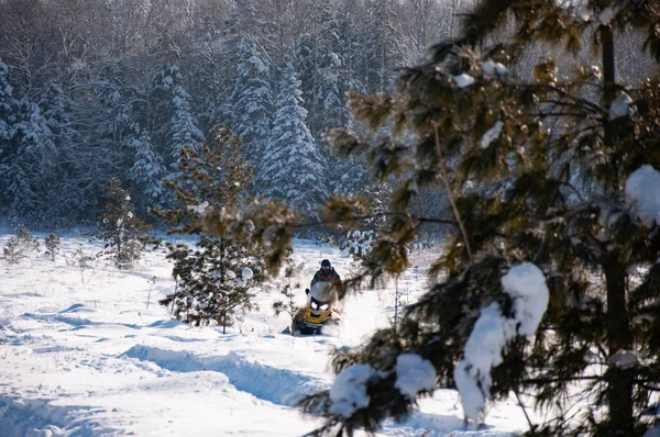 Viagens e atividades ao ar livre no inverno em motos de neve . — Fotografia de Stock