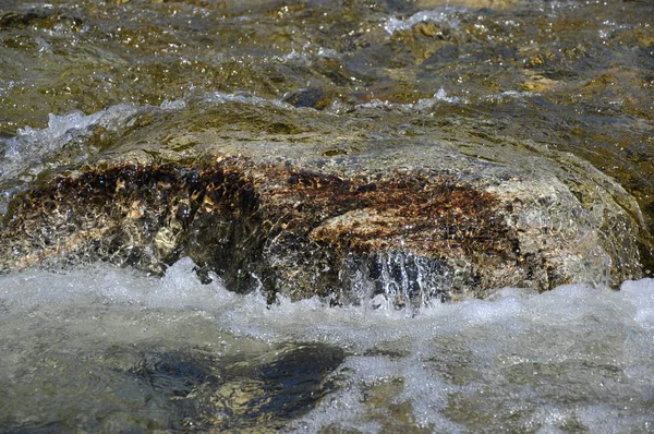 Água pura no riacho de taiga longe da civilização — Fotografia de Stock