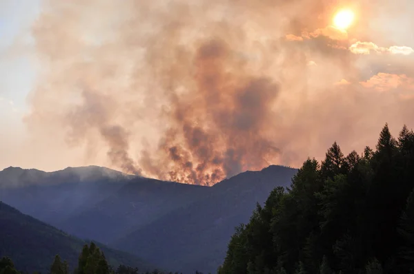 Wildfire in the remote mountain taiga zone.