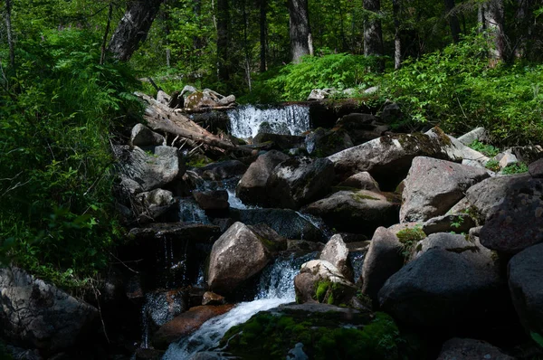 Água pura no riacho de taiga longe da civilização — Fotografia de Stock