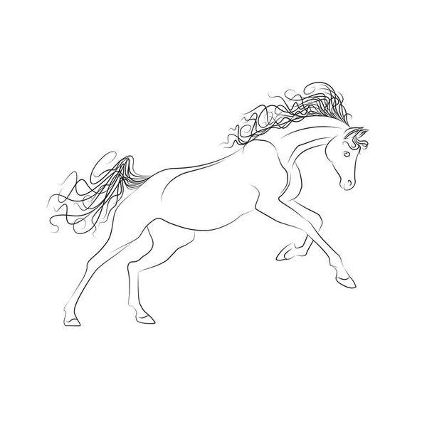 Vector outline drawing horses. The horse gallops, mane and tail fluttering. — Stock Vector