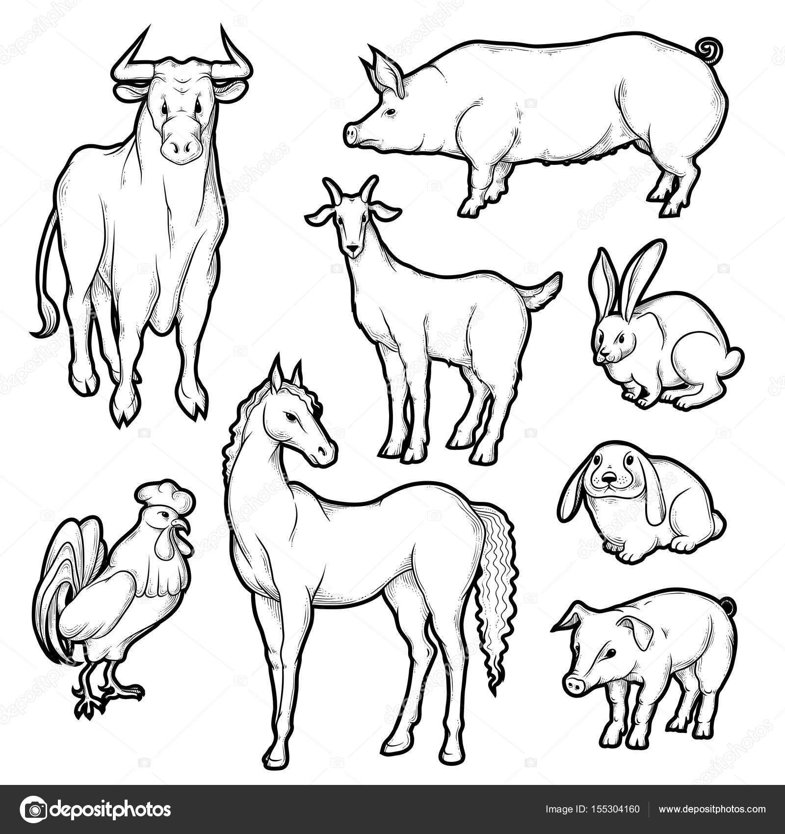 Vector blanco y negro boceto conjunto de animales de granja aislada