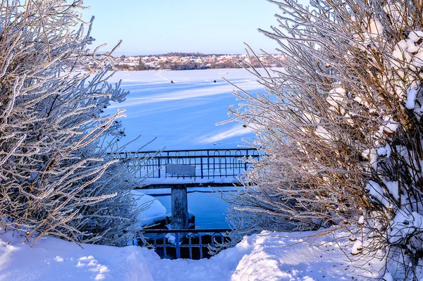 Vinter soligt landskap med älv och skog — Stockfoto