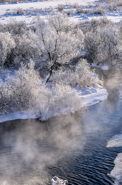 Zimní slunná krajina s řekou a lesem — Stock fotografie
