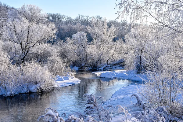 Paesaggio soleggiato invernale con fiume e foresta — Foto Stock