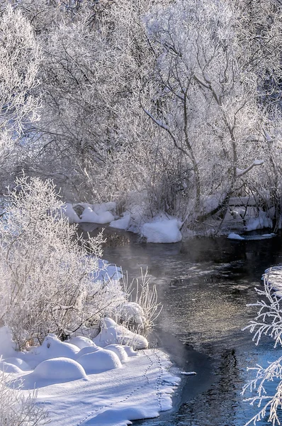 Paisaje soleado de invierno con río y bosque — Foto de Stock