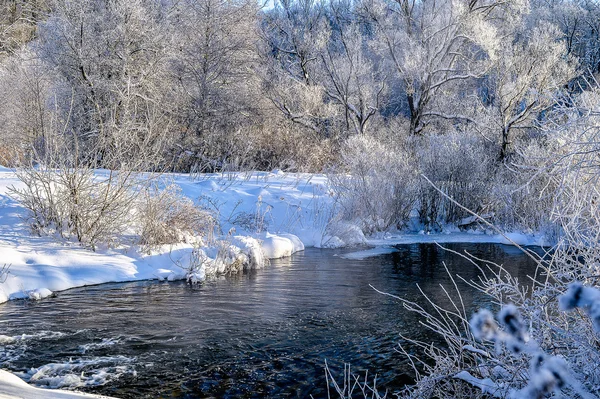 Vinter soligt landskap med älv och skog — Stockfoto