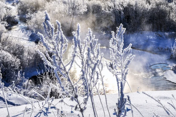 Zimní slunná krajina s řekou a lesem — Stock fotografie