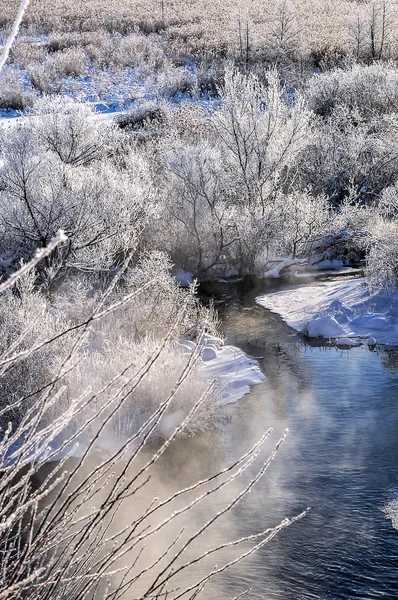 Paesaggio soleggiato invernale con fiume e foresta — Foto Stock