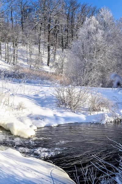 Paesaggio soleggiato invernale con fiume e foresta — Foto Stock