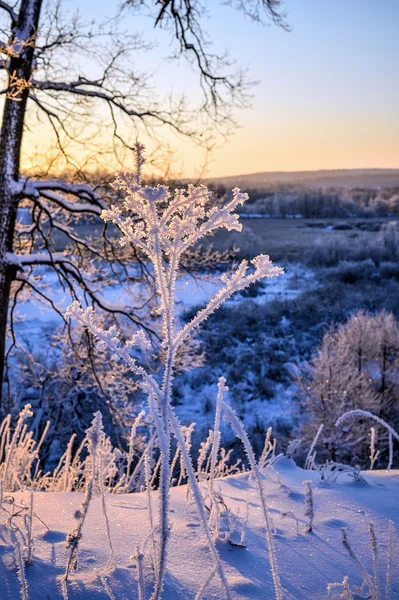 Winterlandschaft mit schönem Sonnenaufgang im Wald — Stockfoto