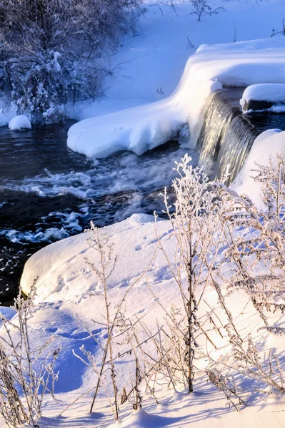 Paesaggio soleggiato invernale con fiume e foresta — Foto Stock