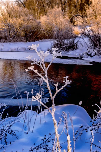Зимний солнечный пейзаж с рекой и лесом — стоковое фото