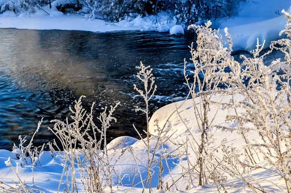 Vinter soligt landskap med älv och skog — Stockfoto