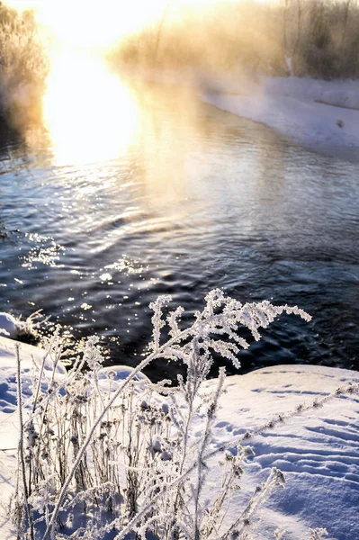 Nehir ve ormanla güneşli kış manzarası — Stok fotoğraf