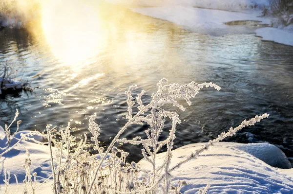 Vinter soligt landskap med älv och skog — Stockfoto