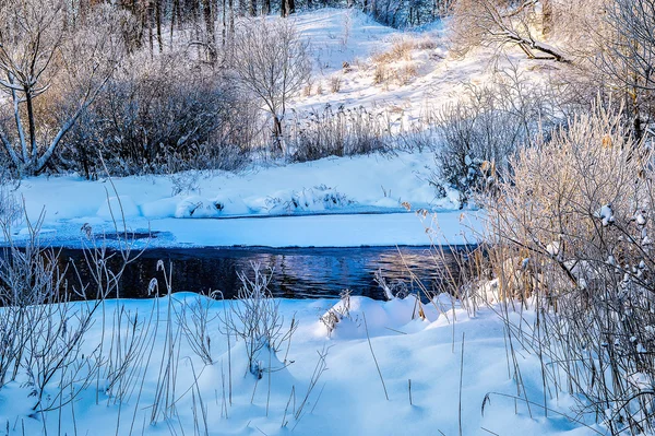 Paesaggio soleggiato invernale con fiume e foresta — Foto Stock