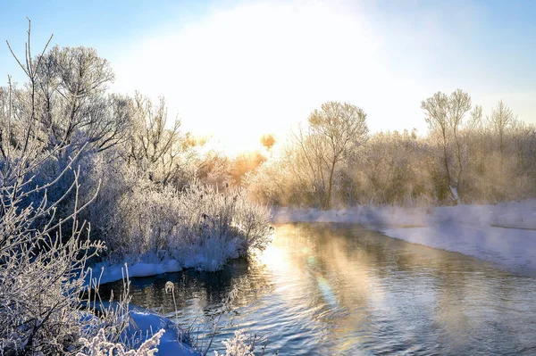 Paesaggio soleggiato invernale con fiume e foresta — Foto Stock