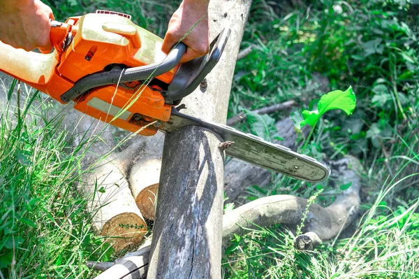 Tronchi di legno tagliato a motosega — Foto Stock