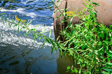 Su borudan nehre akıyor..
