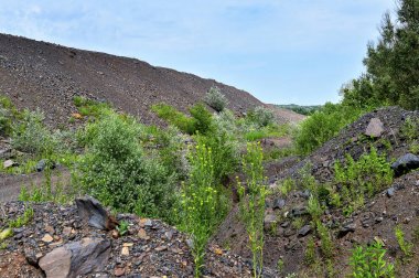 Sanayi ocakları dağlardan Rock döker
