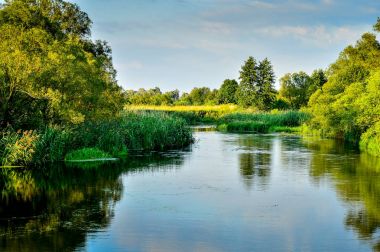 Bir nehir üzerinde bir açık yaz günü, manzara ile fotoğraf