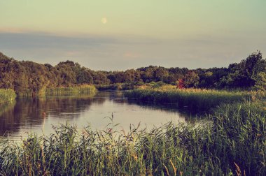 Bir nehir üzerinde bir açık yaz günü, manzara ile fotoğraf