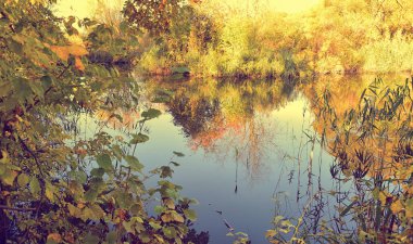 Güneşli bir günde su ve bulutlar ağaçlar ile renkli sonbahar manzara