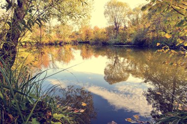 Güneşli bir günde su ve bulutlar ağaçlar ile renkli sonbahar manzara