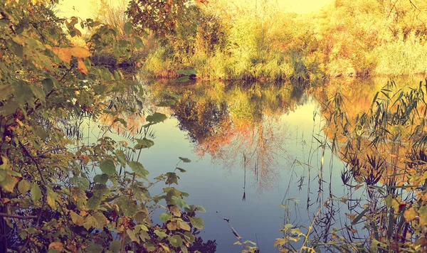 Güneşli bir günde su ve bulutlar ağaçlar ile renkli sonbahar manzara