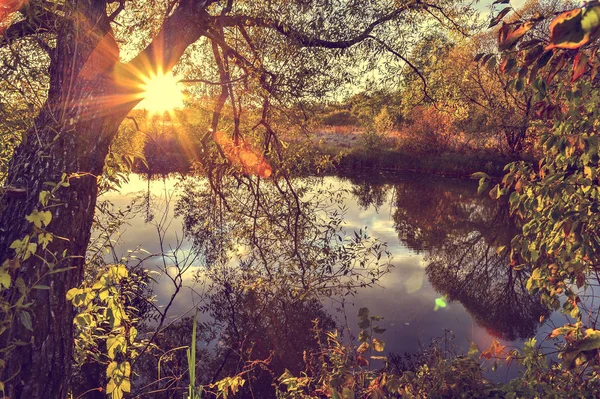 Güneşli bir günde su ve bulutlar ağaçlar ile renkli sonbahar manzara